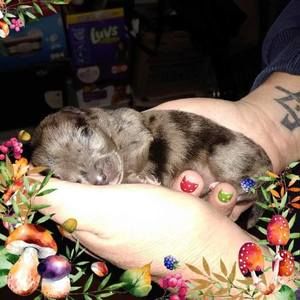 Meet your Posher, Jamie